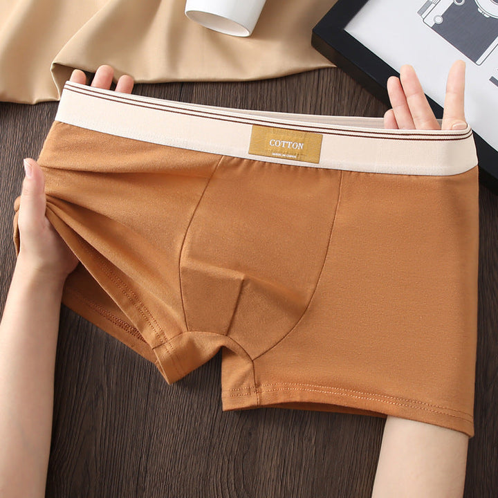 Elio Cotton Stretch Briefs Set