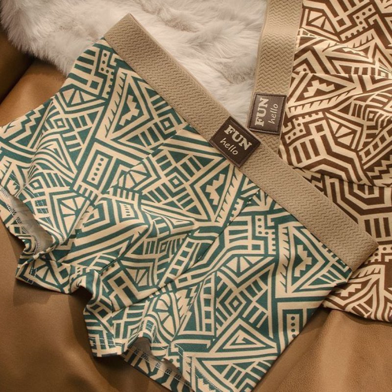 Mateo Printed Trunk Briefs