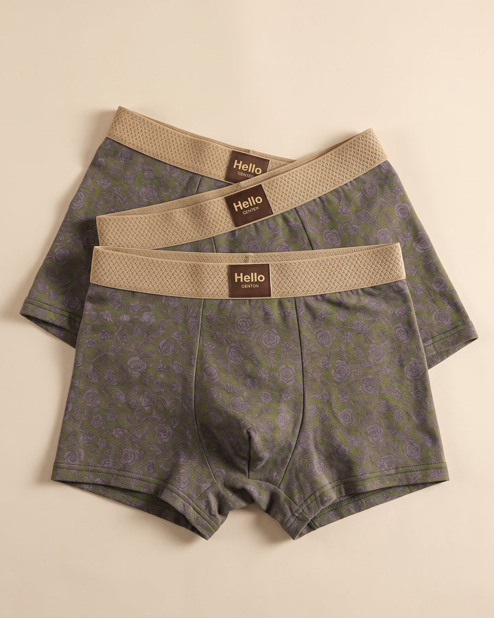 Severino Cotton Boxer Briefs