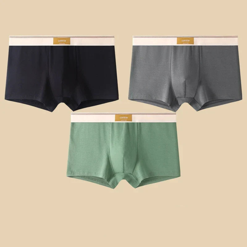 Elio Cotton Stretch Briefs Set